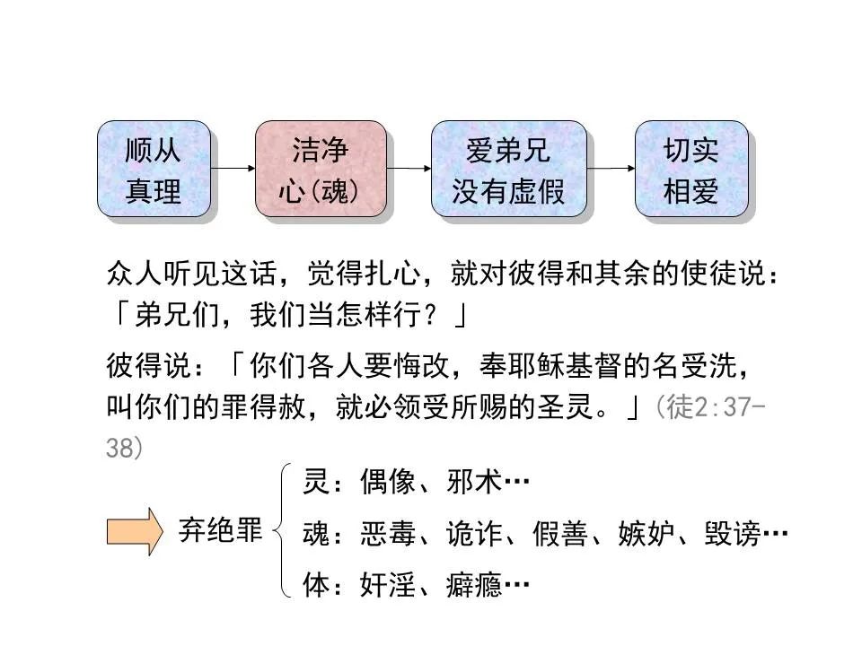圣经图表——《彼得前书》(图26) 圣经图表——《彼得前书》(图26)