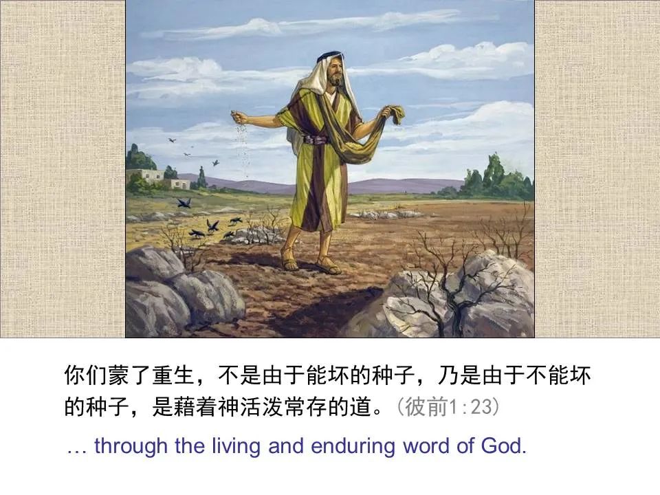 圣经图表——《彼得前书》(图29) 圣经图表——《彼得前书》(图29)