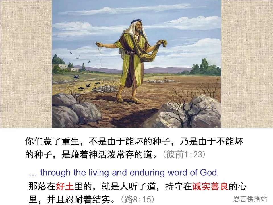 圣经图表——《彼得前书》(图31) 圣经图表——《彼得前书》(图31)