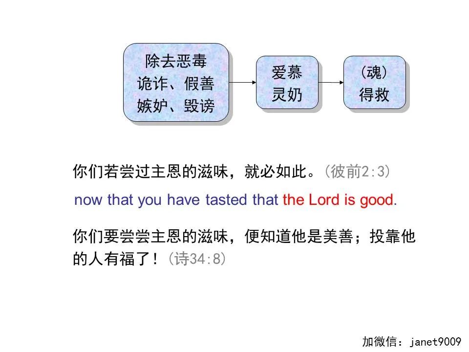 圣经图表——《彼得前书》(图34) 圣经图表——《彼得前书》(图34)