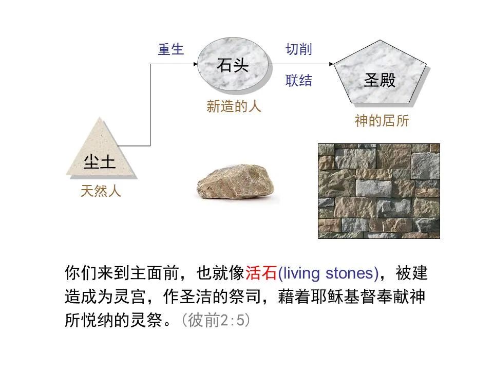圣经图表——《彼得前书》(图38) 圣经图表——《彼得前书》(图38)