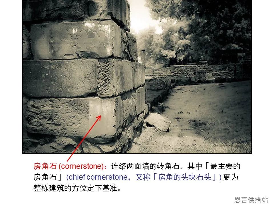 圣经图表——《彼得前书》(图43) 圣经图表——《彼得前书》(图43)