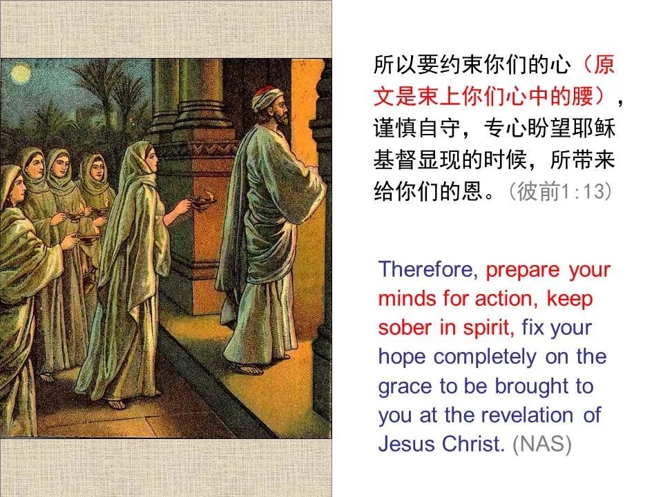 圣经图表——《彼得前书》(图18) 圣经图表——《彼得前书》(图18)