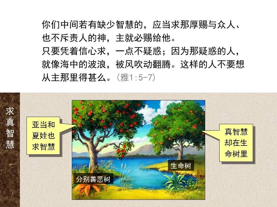 圣经图表——《雅各书》(图15) 圣经图表——《雅各书》(图15)