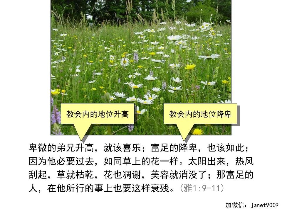 圣经图表——《雅各书》(图20) 圣经图表——《雅各书》(图20)