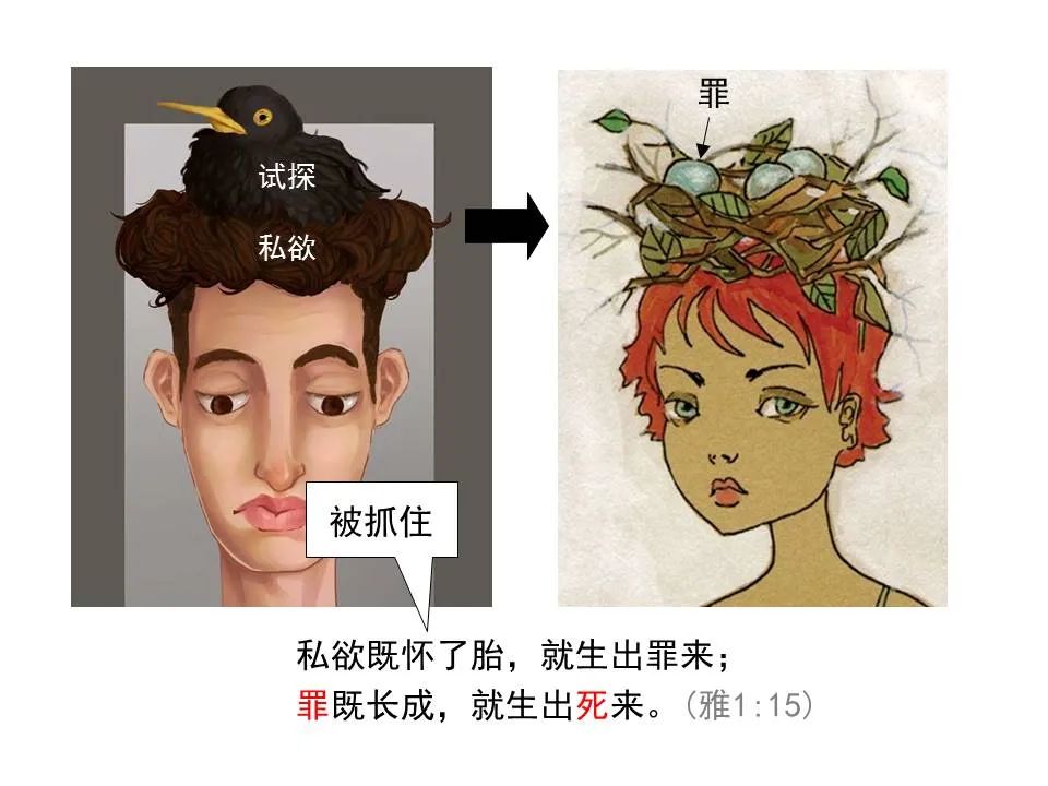 圣经图表——《雅各书》(图23) 圣经图表——《雅各书》(图23)