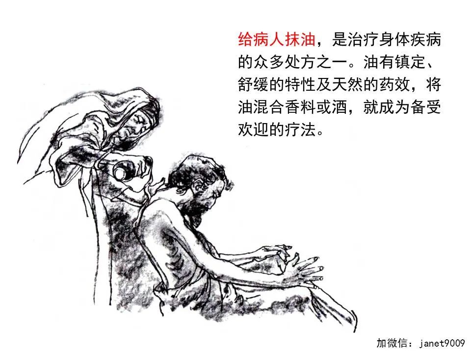 圣经图表——《雅各书》(图102) 圣经图表——《雅各书》(图102)