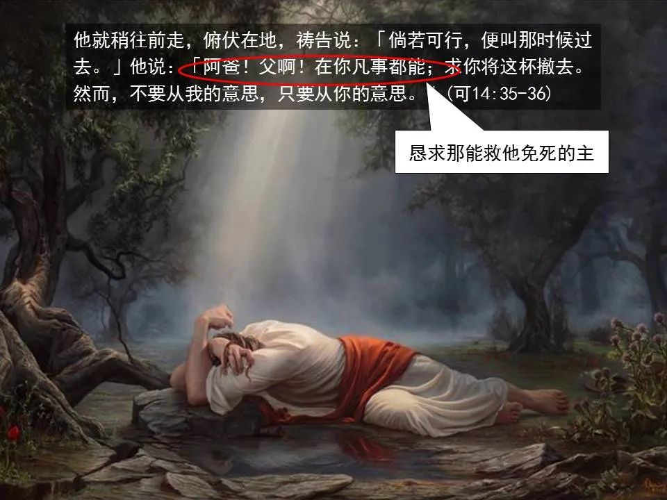 圣经图表——《希伯来书》上(图46) 圣经图表——《希伯来书》上(图46)