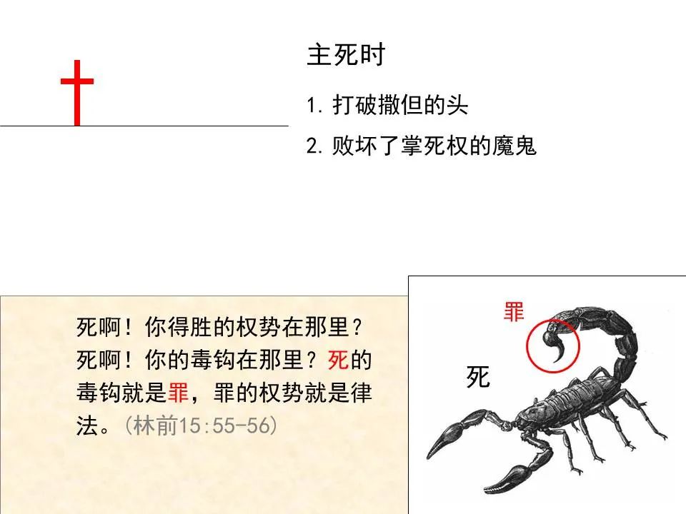 圣经图表——《希伯来书》上(图15) 圣经图表——《希伯来书》上(图15)
