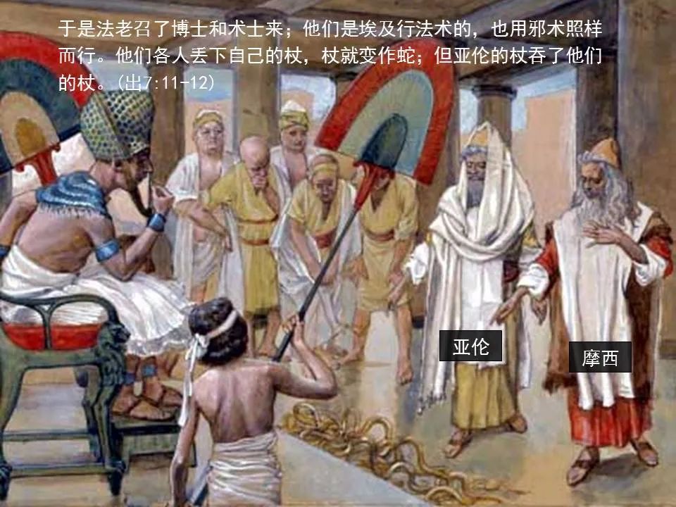 圣经图表——《提摩太后书》(图18) 圣经图表——《提摩太后书》(图18)