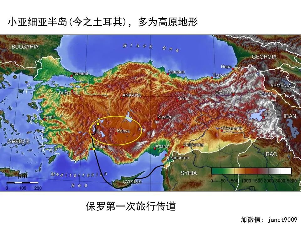 圣经图表——《提摩太后书》(图19) 圣经图表——《提摩太后书》(图19)