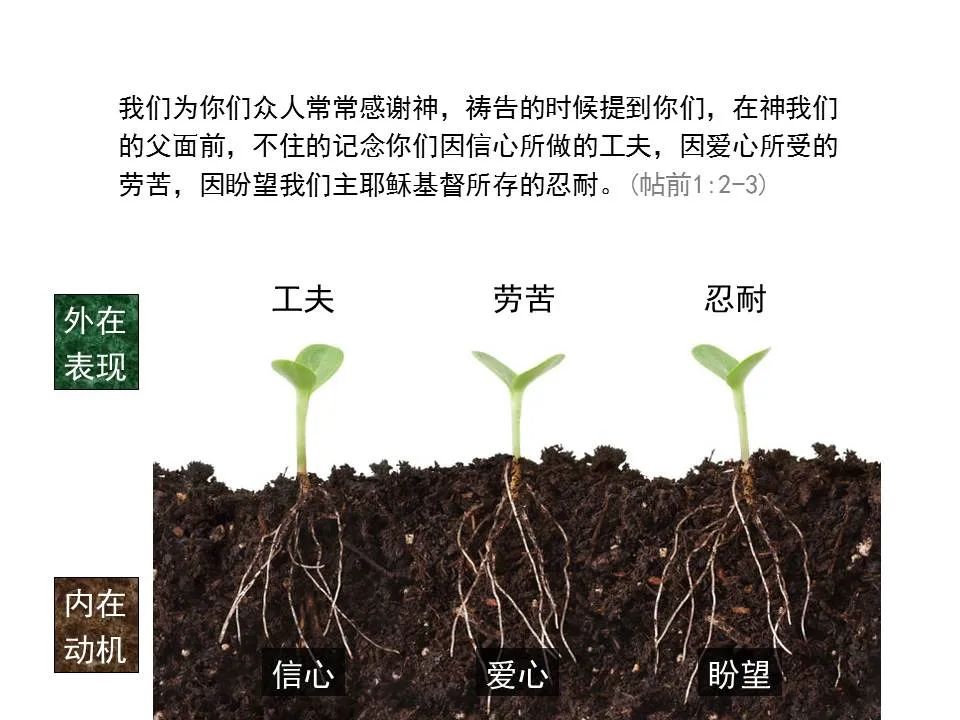圣经图表——《帖撒罗尼迦前、后书》(图19) 圣经图表——《帖撒罗尼迦前、后书》(图19)