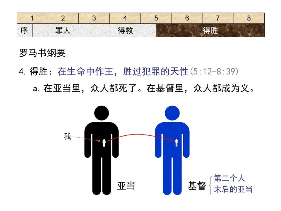 圣经图表——《罗马书》(图49) 圣经图表——《罗马书》(图49)