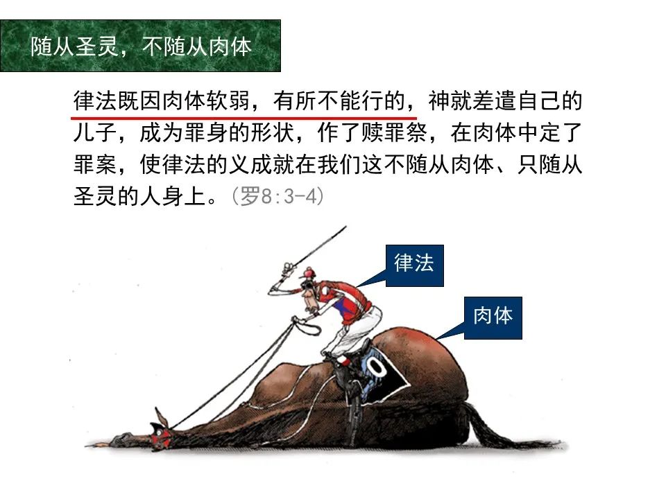 圣经图表——《罗马书》(图91) 圣经图表——《罗马书》(图91)