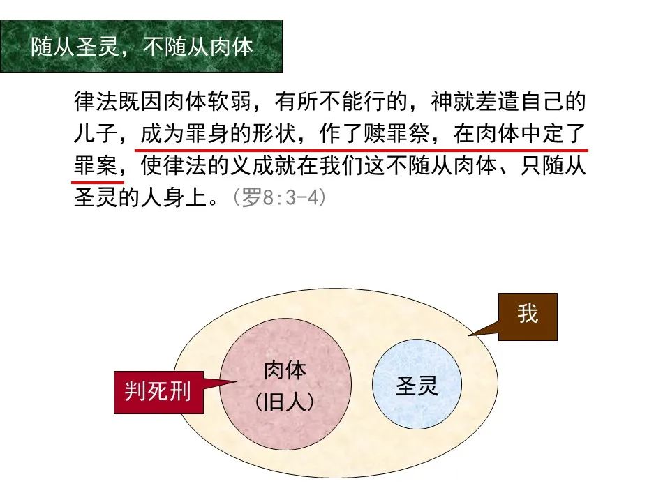 圣经图表——《罗马书》(图93) 圣经图表——《罗马书》(图93)