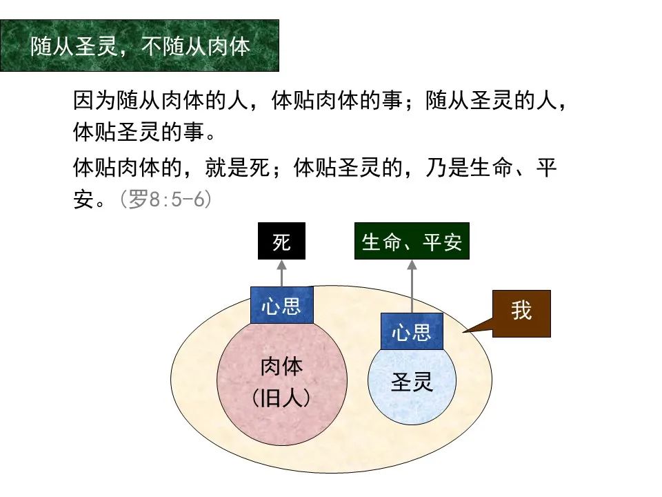 圣经图表——《罗马书》(图96) 圣经图表——《罗马书》(图96)