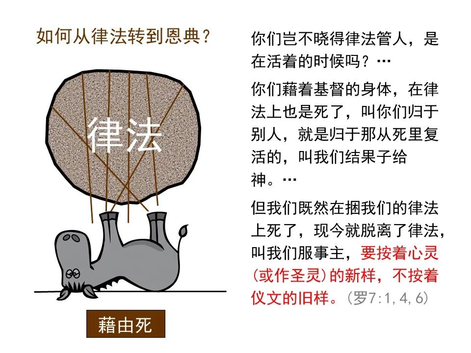 圣经图表——《罗马书》(图64) 圣经图表——《罗马书》(图64)