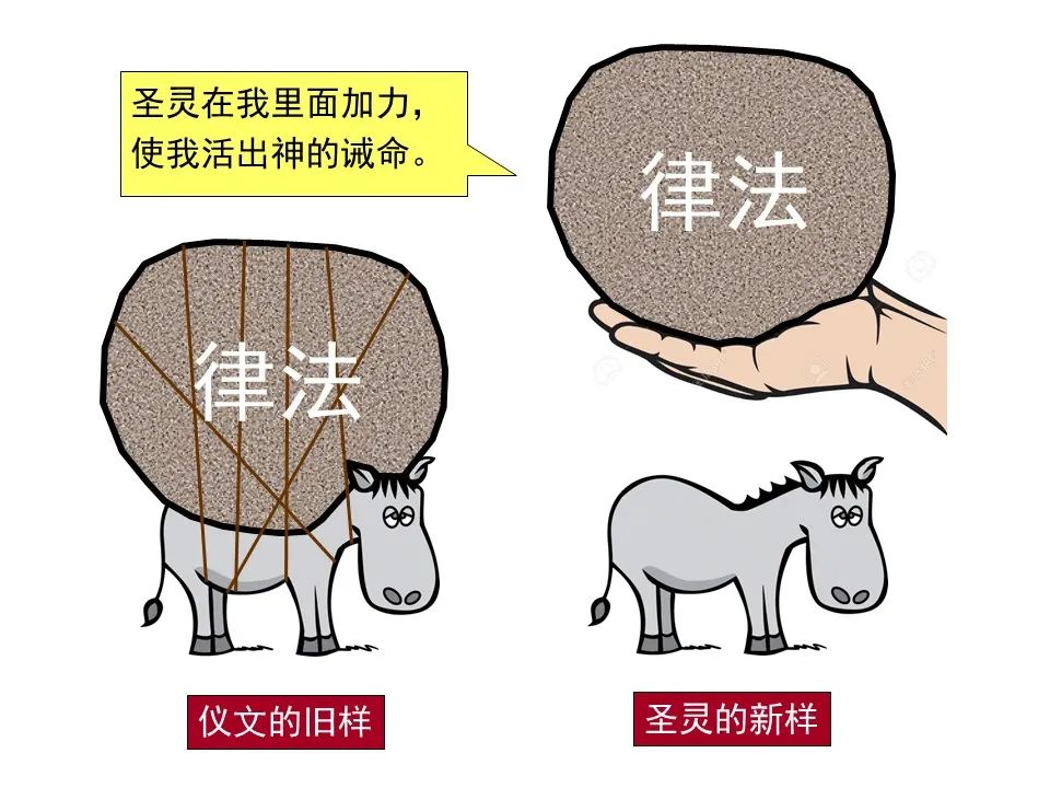 圣经图表——《罗马书》(图66) 圣经图表——《罗马书》(图66)
