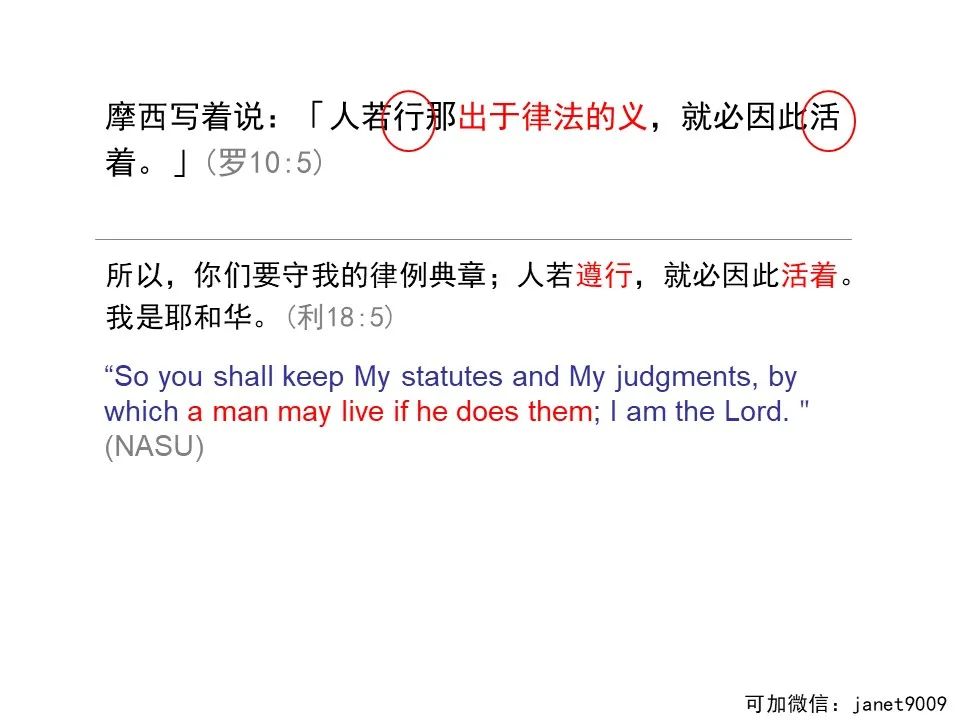 圣经图表——《罗马书》(图122) 圣经图表——《罗马书》(图122)