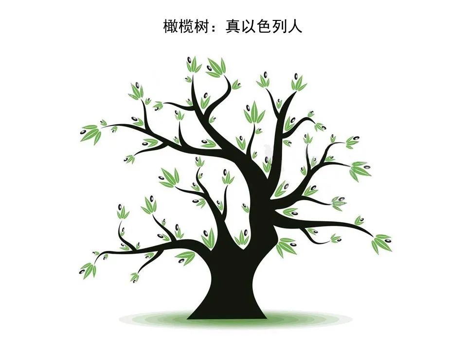 圣经图表——《罗马书》(图129) 圣经图表——《罗马书》(图129)
