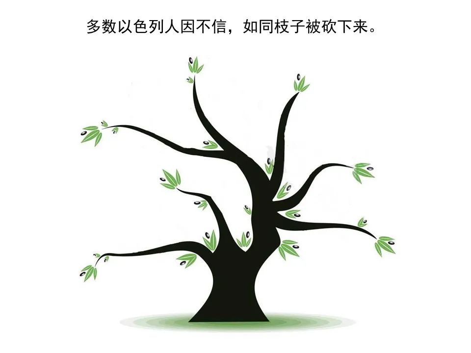 圣经图表——《罗马书》(图130) 圣经图表——《罗马书》(图130)