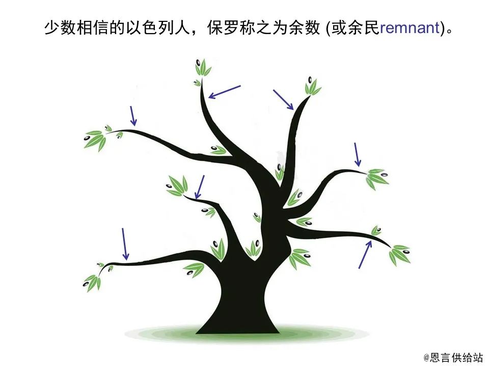 圣经图表——《罗马书》(图131) 圣经图表——《罗马书》(图131)