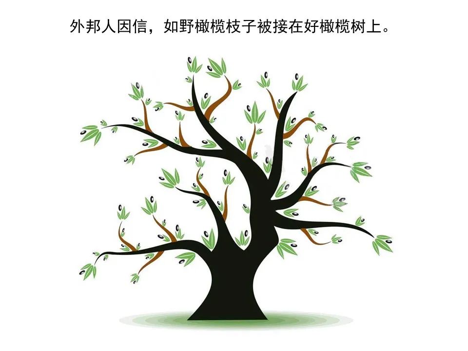 圣经图表——《罗马书》(图132) 圣经图表——《罗马书》(图132)