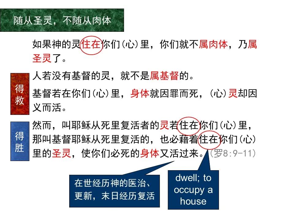圣经图表——《罗马书》(图102) 圣经图表——《罗马书》(图102)