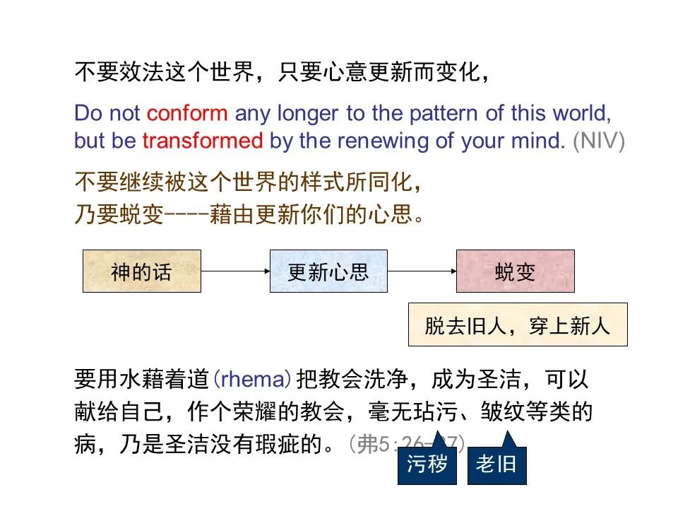 圣经图表——《罗马书》(图146) 圣经图表——《罗马书》(图146)