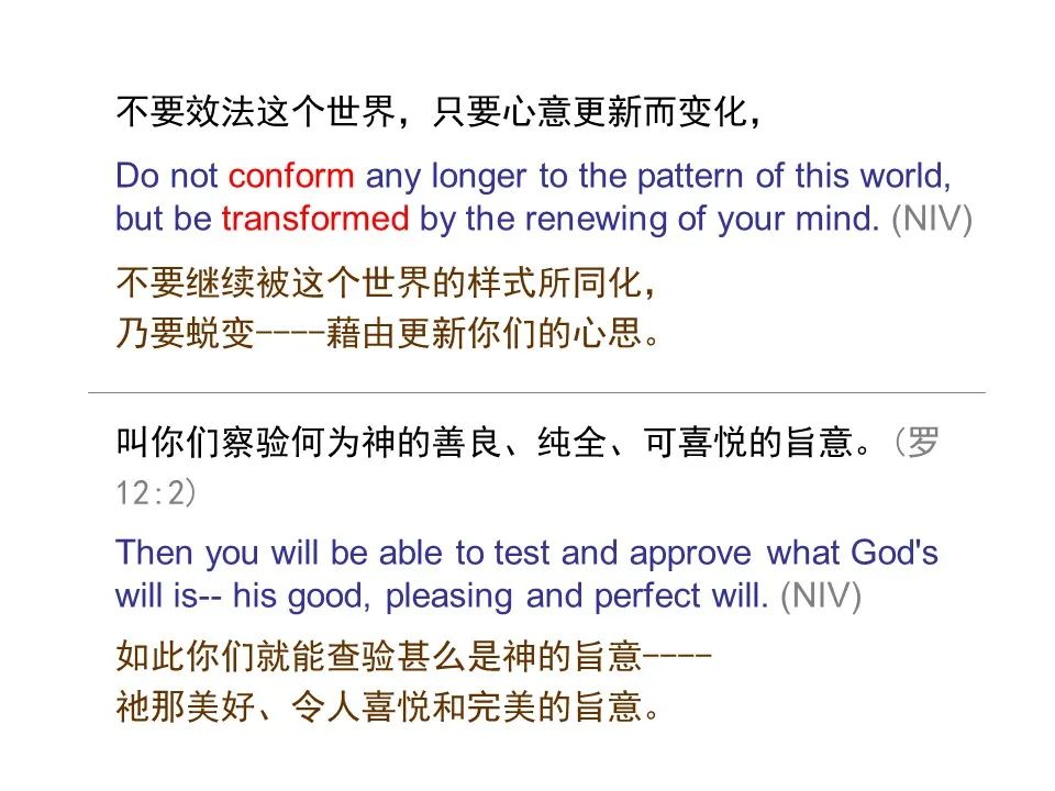 圣经图表——《罗马书》(图147) 圣经图表——《罗马书》(图147)