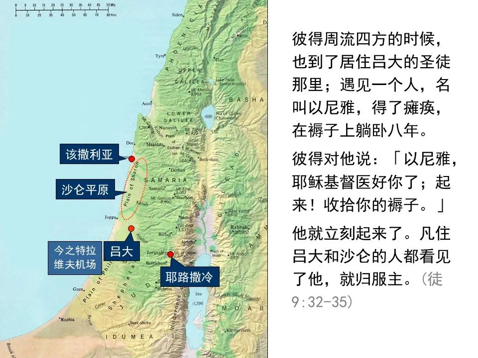 圣经图表——《使徒行传》上(图113) 圣经图表——《使徒行传》上(图113)
