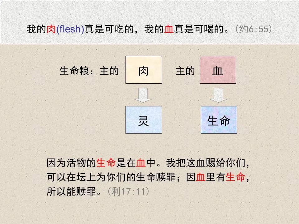 圣经图表——《约翰福音》上(图65) 圣经图表——《约翰福音》上(图65)