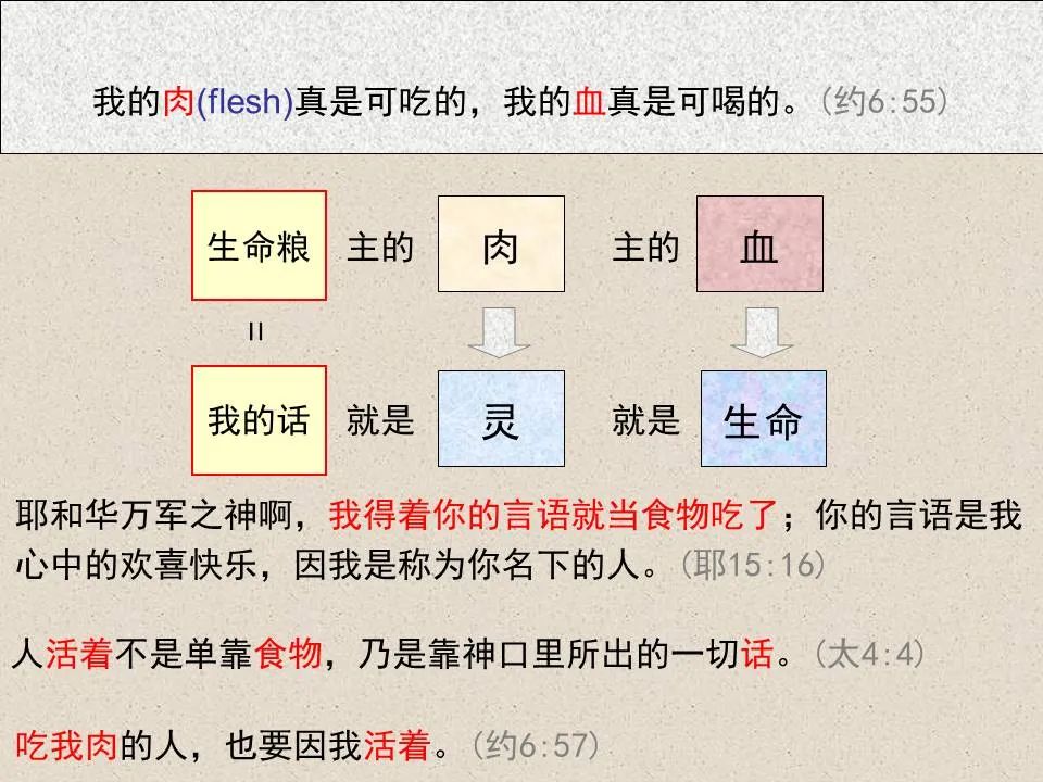 圣经图表——《约翰福音》上(图66) 圣经图表——《约翰福音》上(图66)