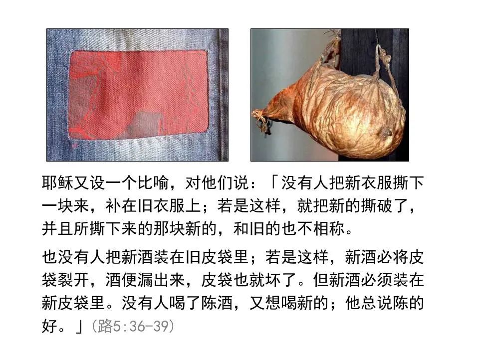 圣经图表——《路加福音》上(图76) 圣经图表——《路加福音》上(图76)