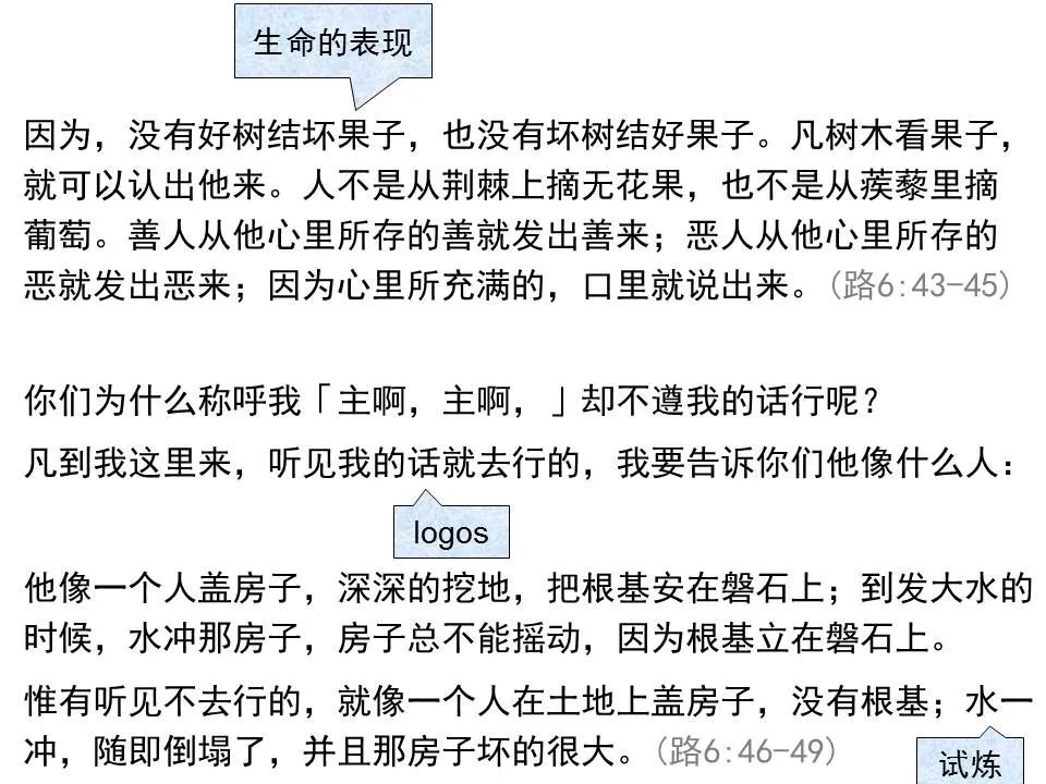 圣经图表——《路加福音》上(图112) 圣经图表——《路加福音》上(图112)