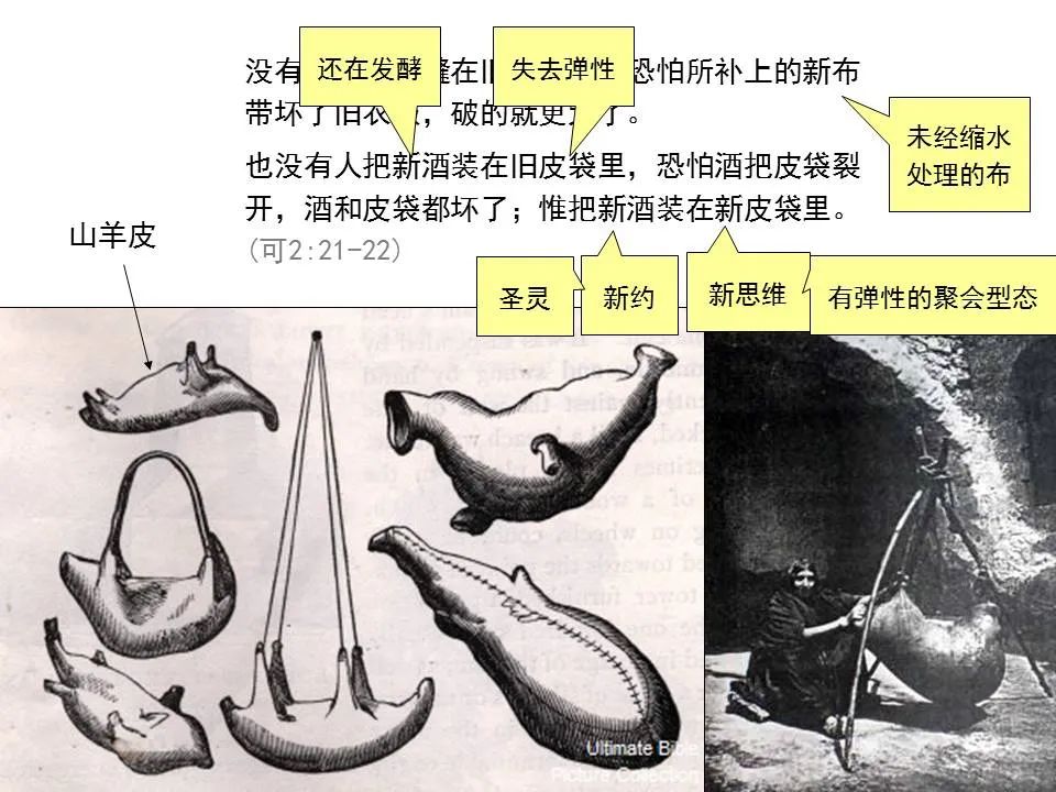 圣经图表——《马可福音》上(图25) 圣经图表——《马可福音》上(图25)