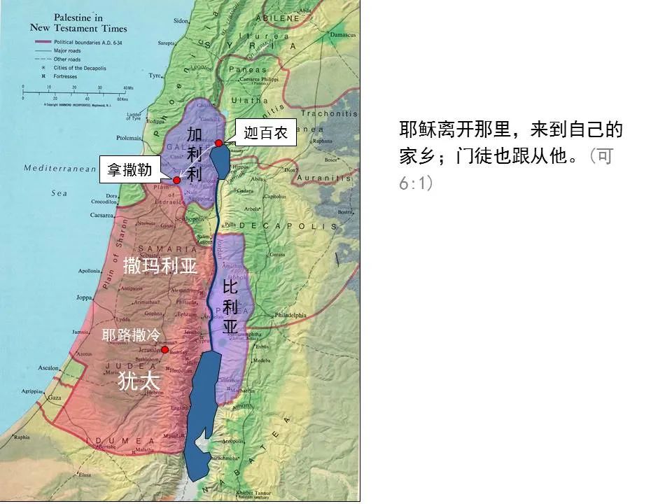 圣经图表——《马可福音》上(图59) 圣经图表——《马可福音》上(图59)