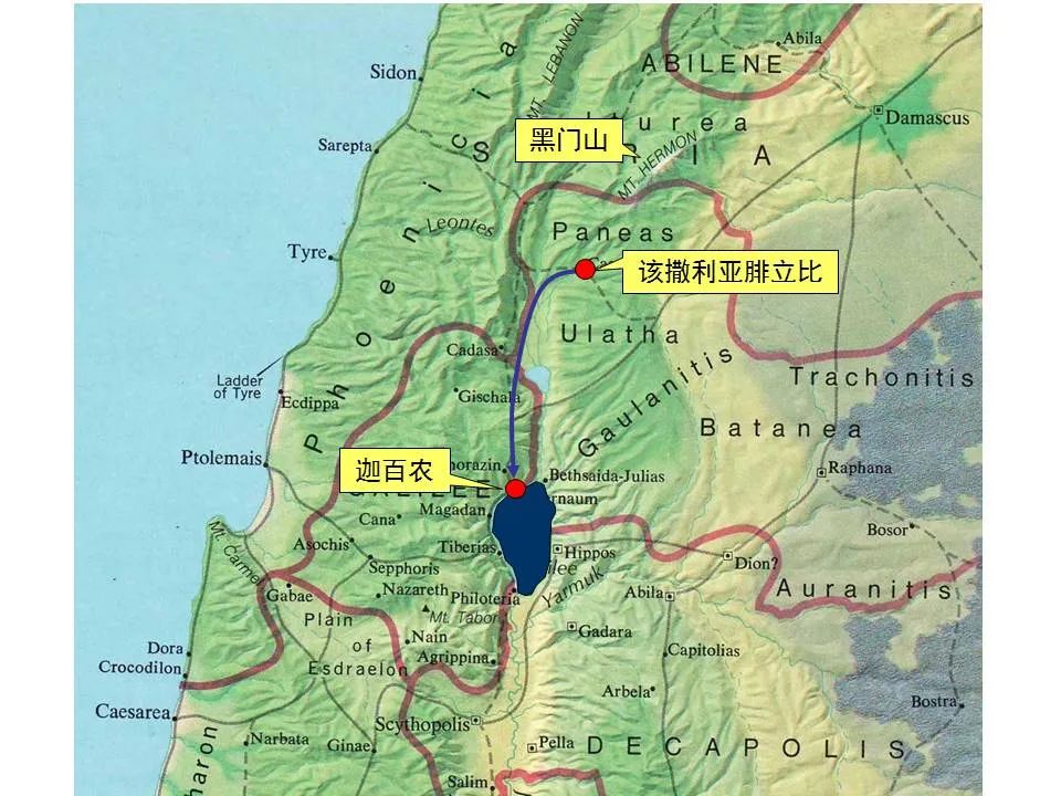 圣经图表——《马可福音》上(图101) 圣经图表——《马可福音》上(图101)