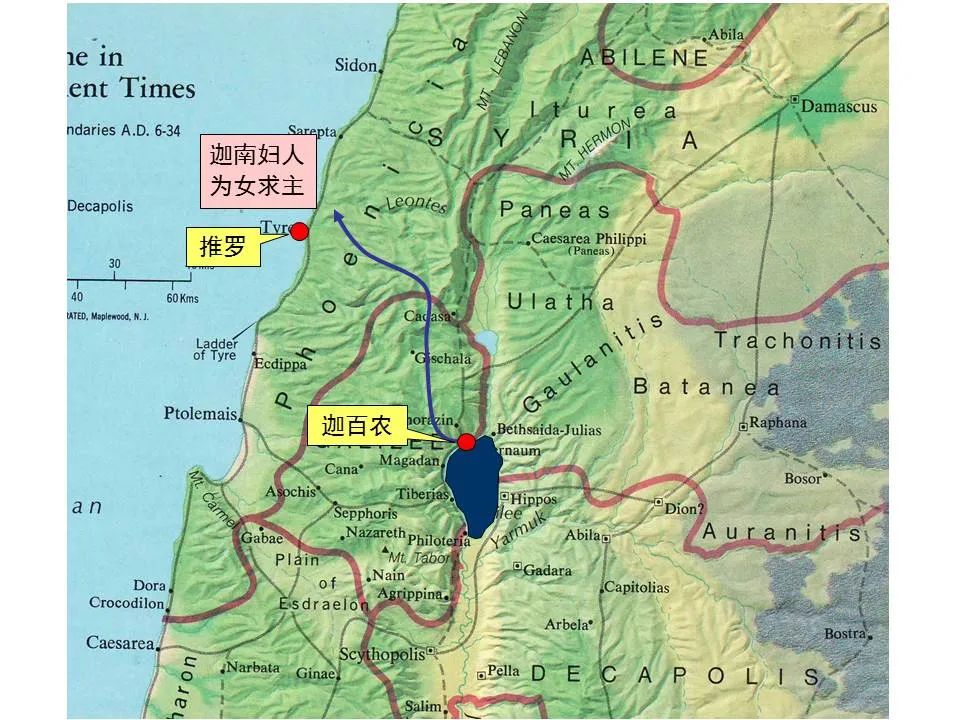 圣经图表——《马可福音》上(图78) 圣经图表——《马可福音》上(图78)