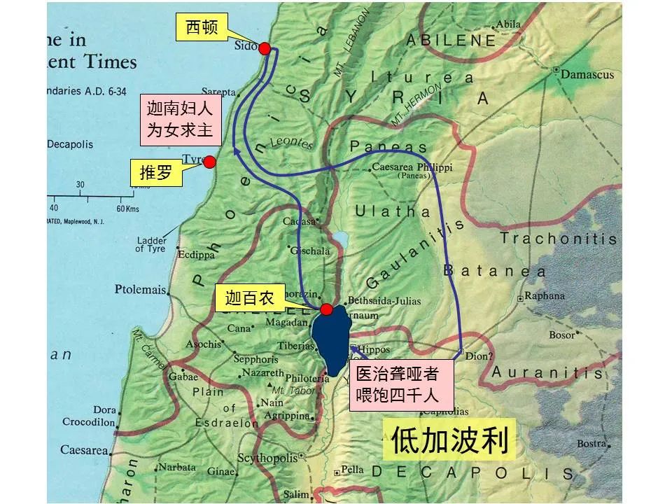 圣经图表——《马可福音》上(图81) 圣经图表——《马可福音》上(图81)