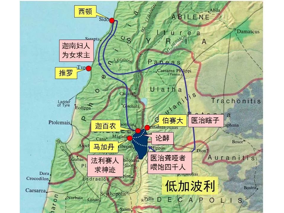 圣经图表——《马可福音》上(图85) 圣经图表——《马可福音》上(图85)