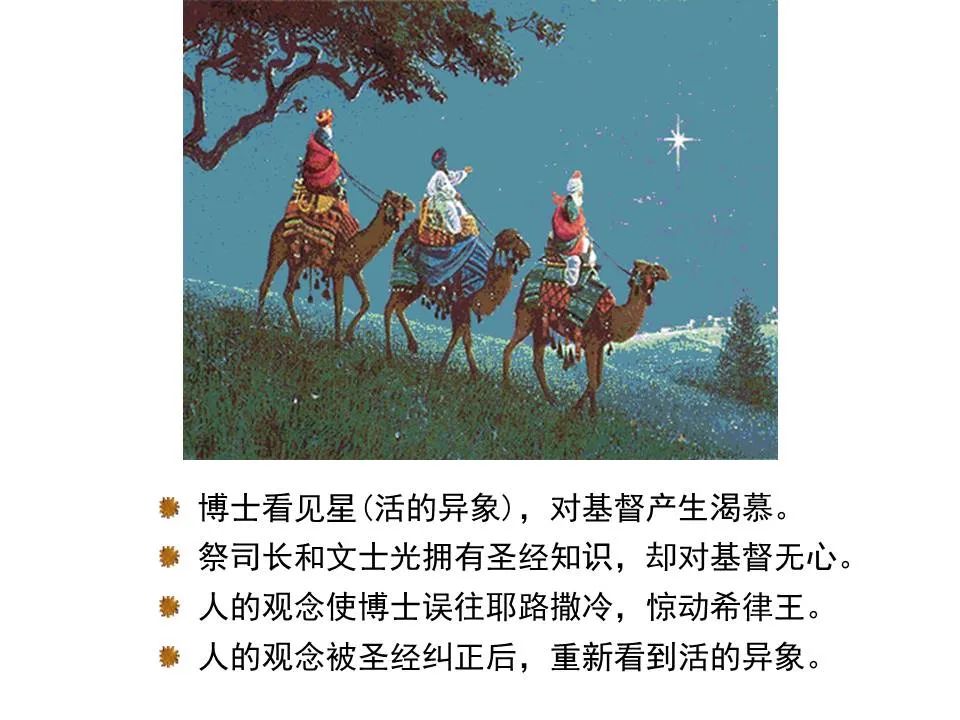 圣经图表——《马太福音》上(图11) 圣经图表——《马太福音》上(图11)