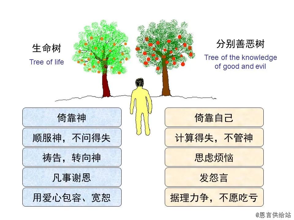 圣经图表——《马太福音》上(图63) 圣经图表——《马太福音》上(图63)