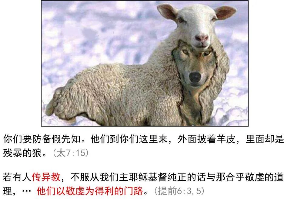 圣经图表——《马太福音》上(图103) 圣经图表——《马太福音》上(图103)