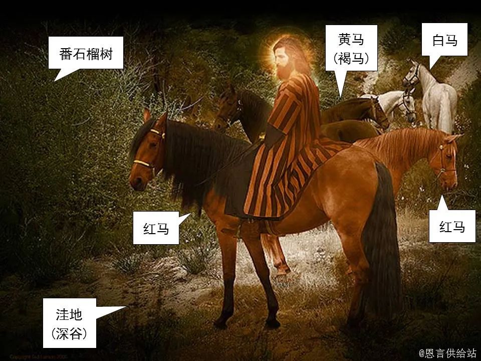 圣经图表——《撒迦利亚书》(图5) 圣经图表——《撒迦利亚书》(图5)