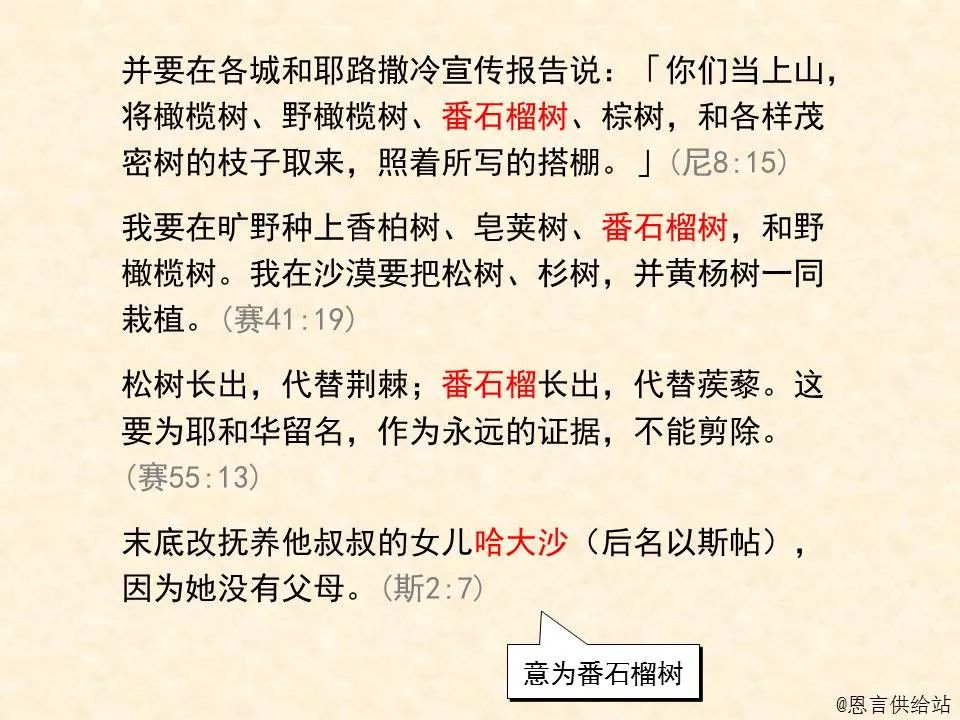 圣经图表——《撒迦利亚书》(图10) 圣经图表——《撒迦利亚书》(图10)