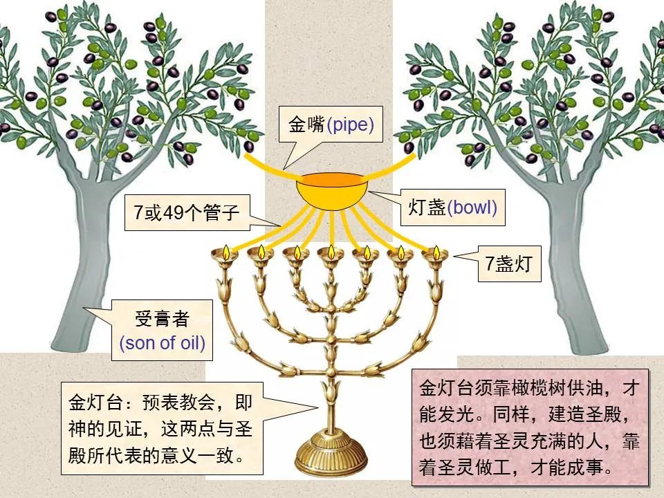 圣经图表——《撒迦利亚书》(图23) 圣经图表——《撒迦利亚书》(图23)
