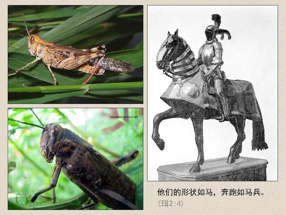 圣经图表——《约珥书》(图12) 圣经图表——《约珥书》(图12)
