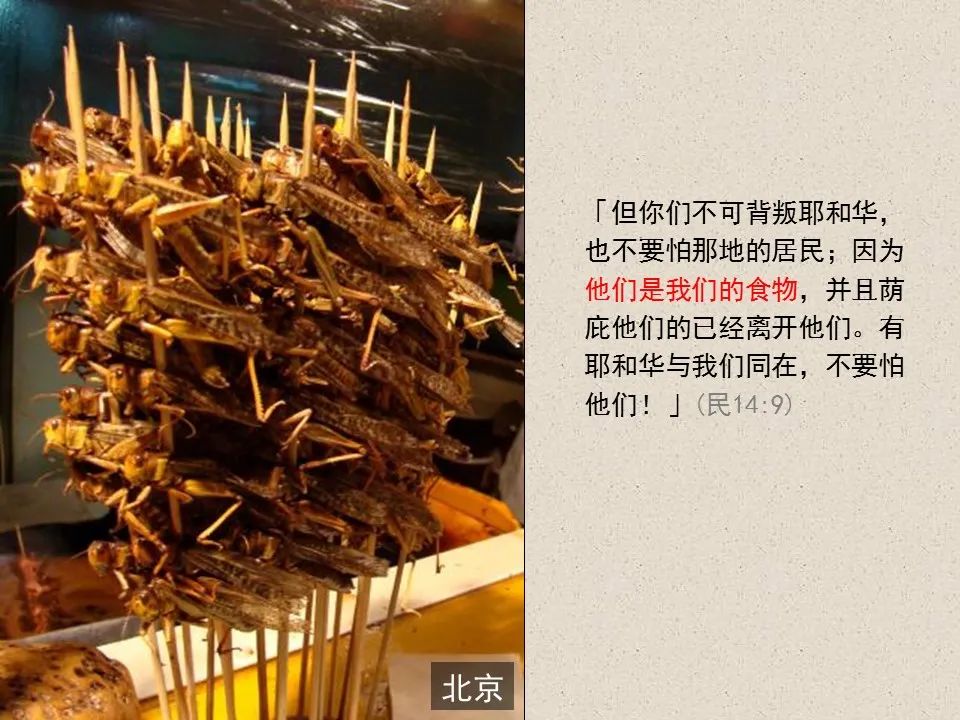 圣经图表——《约珥书》(图49) 圣经图表——《约珥书》(图49)