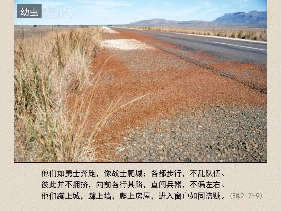 圣经图表——《约珥书》(图34) 圣经图表——《约珥书》(图34)